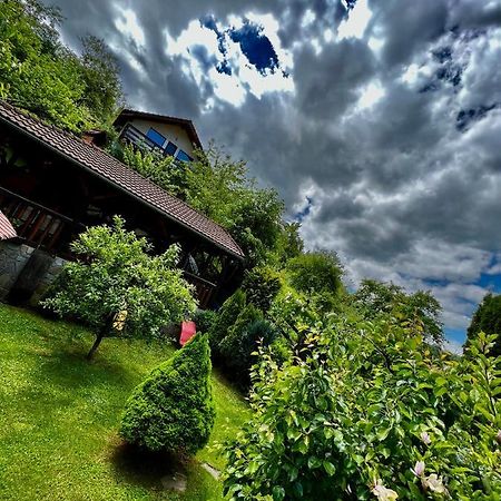 Cabana Vanatorilor Пояна-Мэрулуй Экстерьер фото
