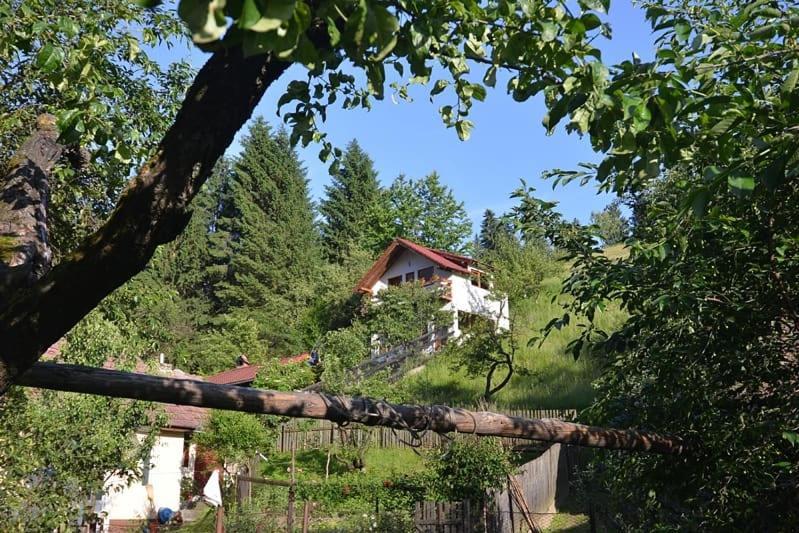 Cabana Vanatorilor Пояна-Мэрулуй Экстерьер фото